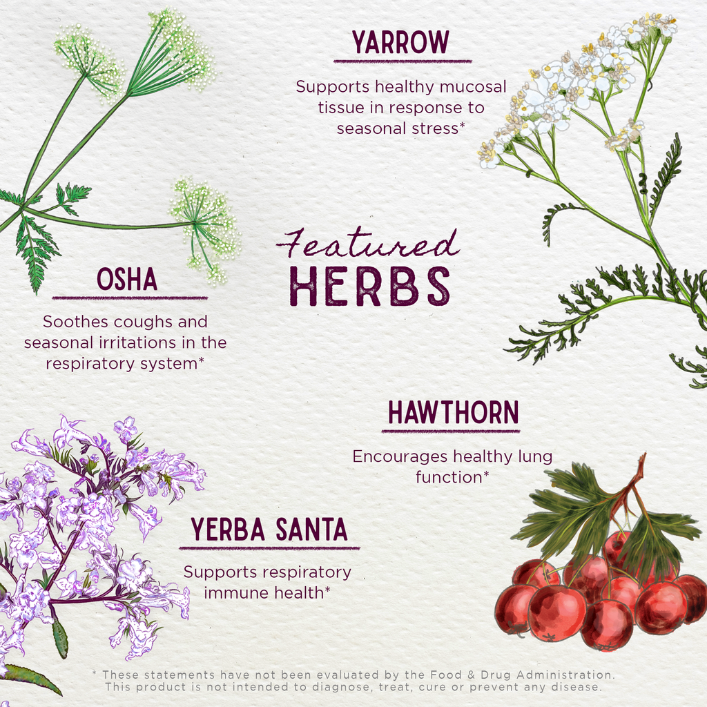 Deep Lung Supplement