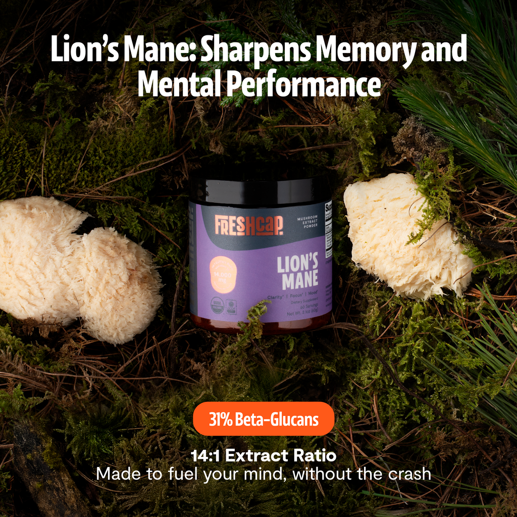 Organic Mushroom Supplement