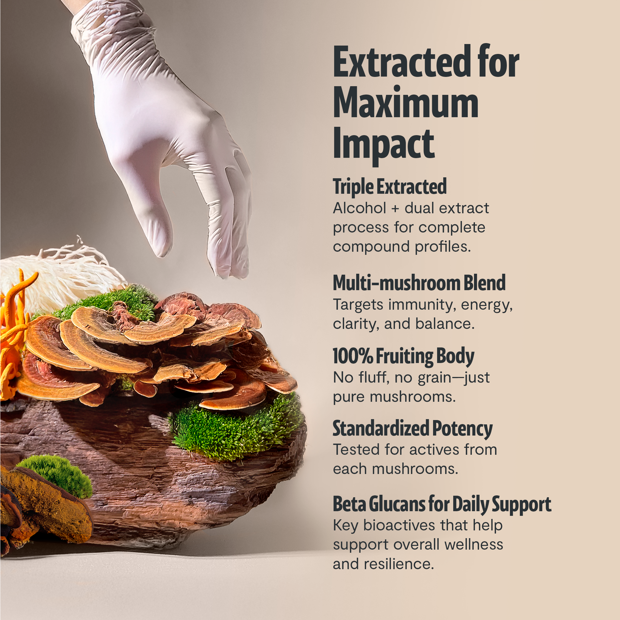 Organic Mushroom Supplement