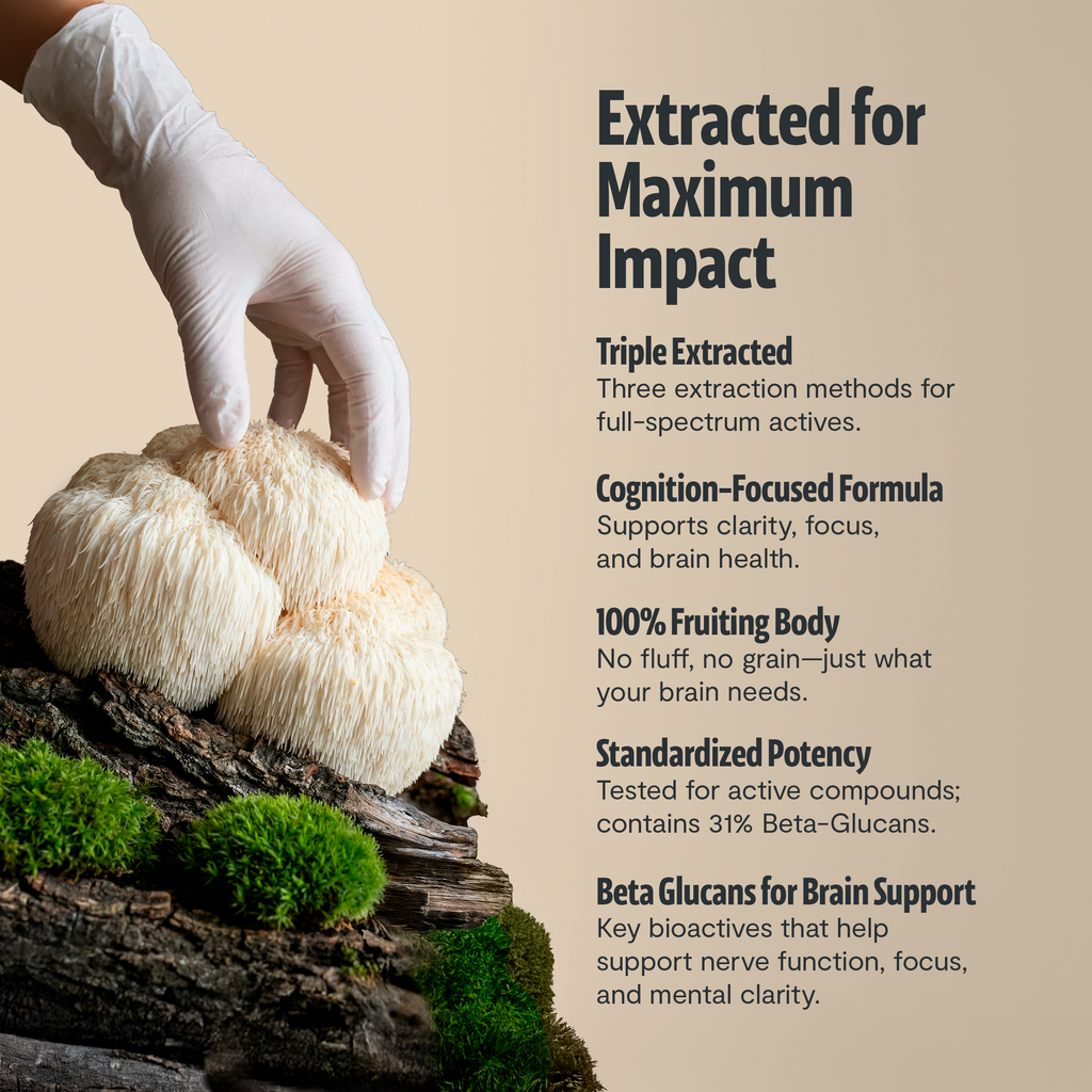 Organic Mushroom Supplement