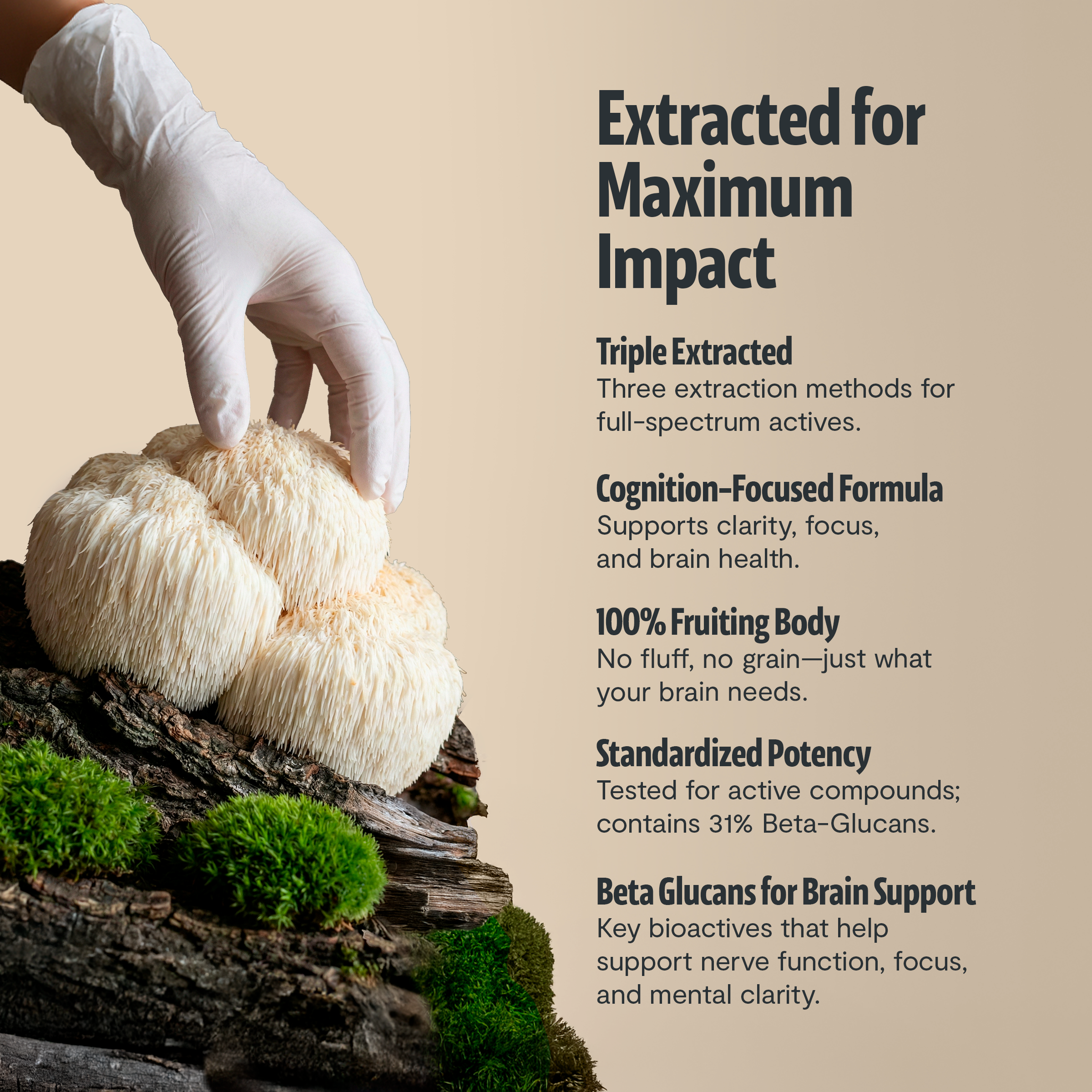 Organic Mushroom Supplement