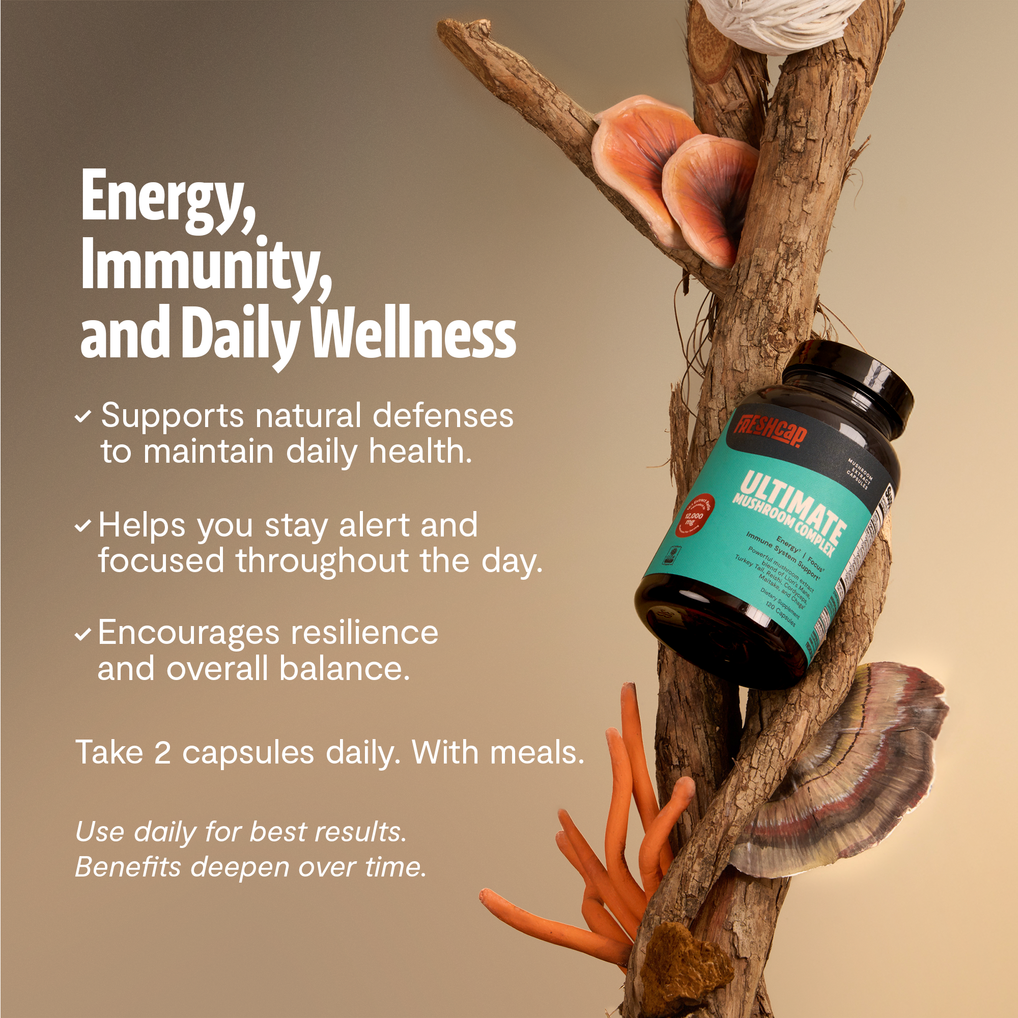 Organic Mushroom Supplement