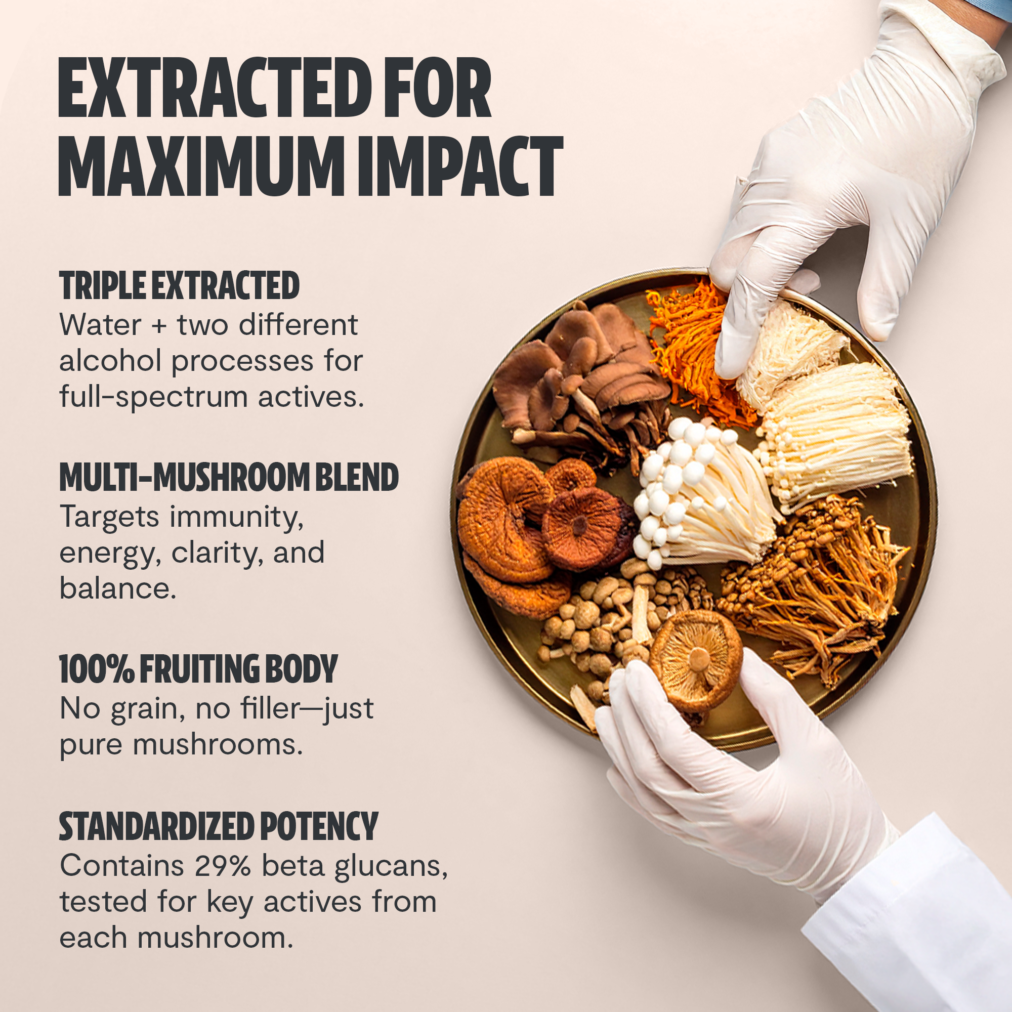 Organic Mushroom Supplement