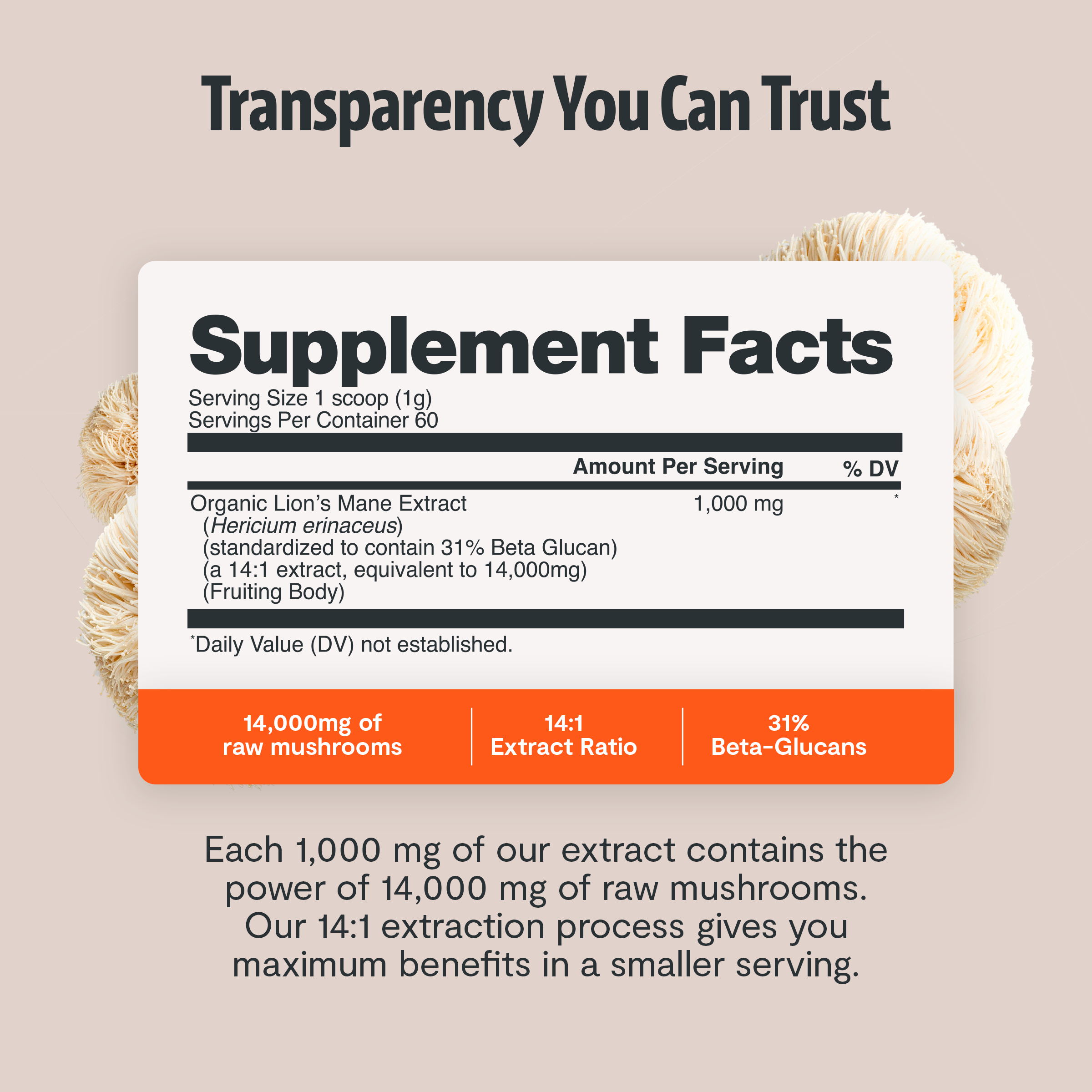 Organic Mushroom Supplement
