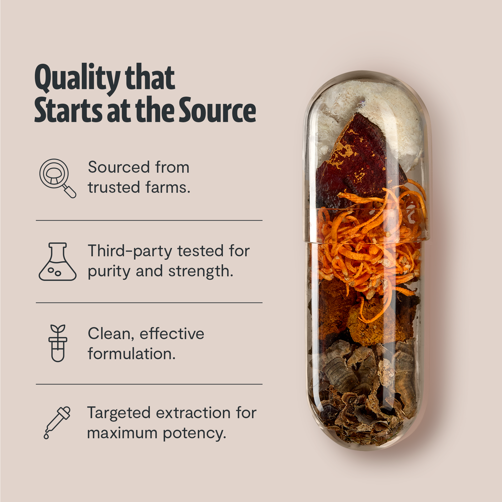 Organic Mushroom Supplement