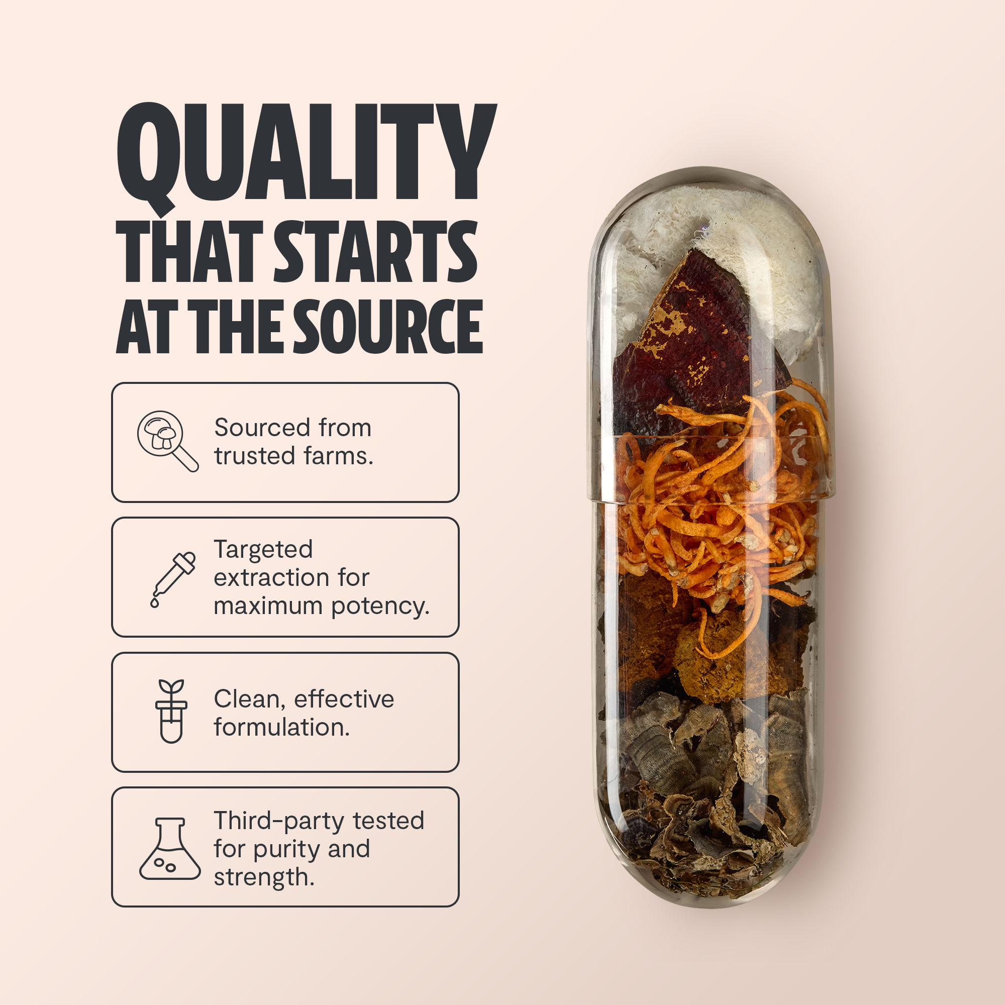 Organic Mushroom Supplement
