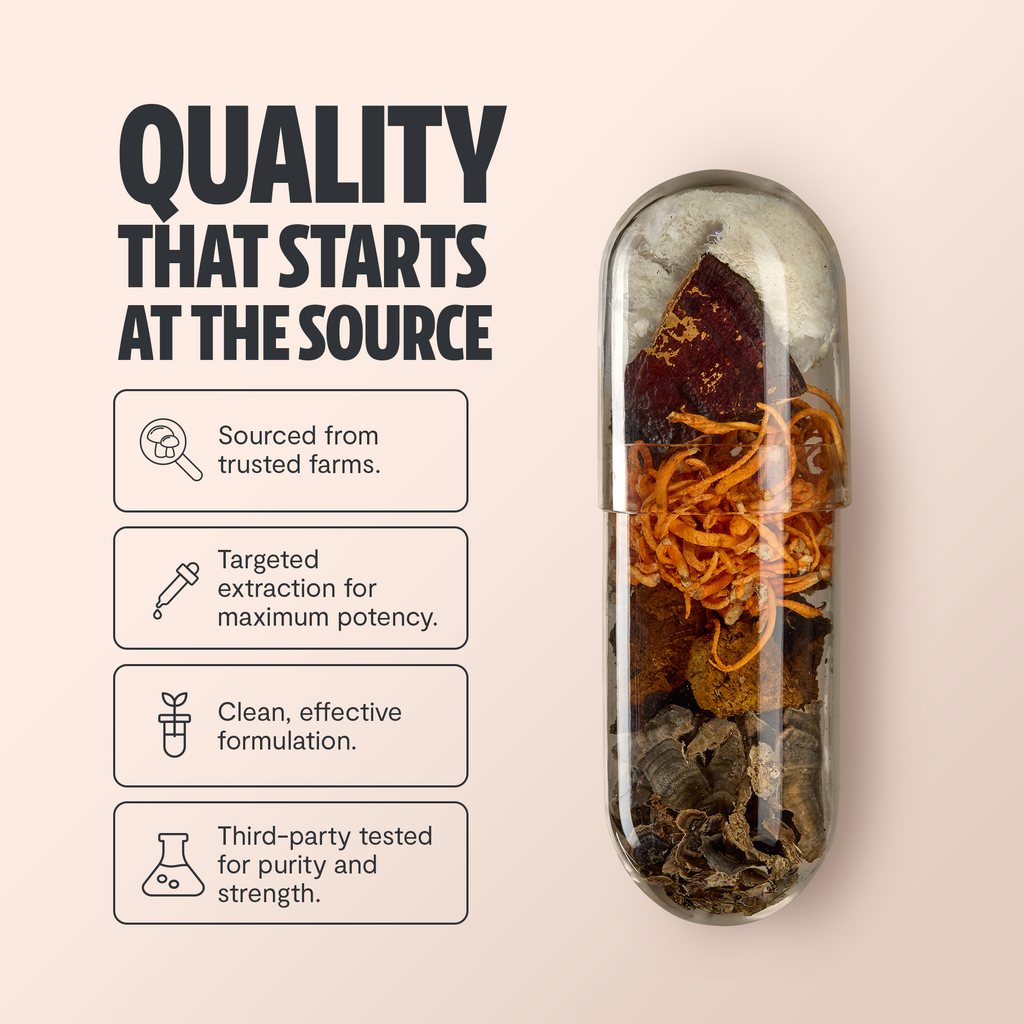 Organic Mushroom Supplement