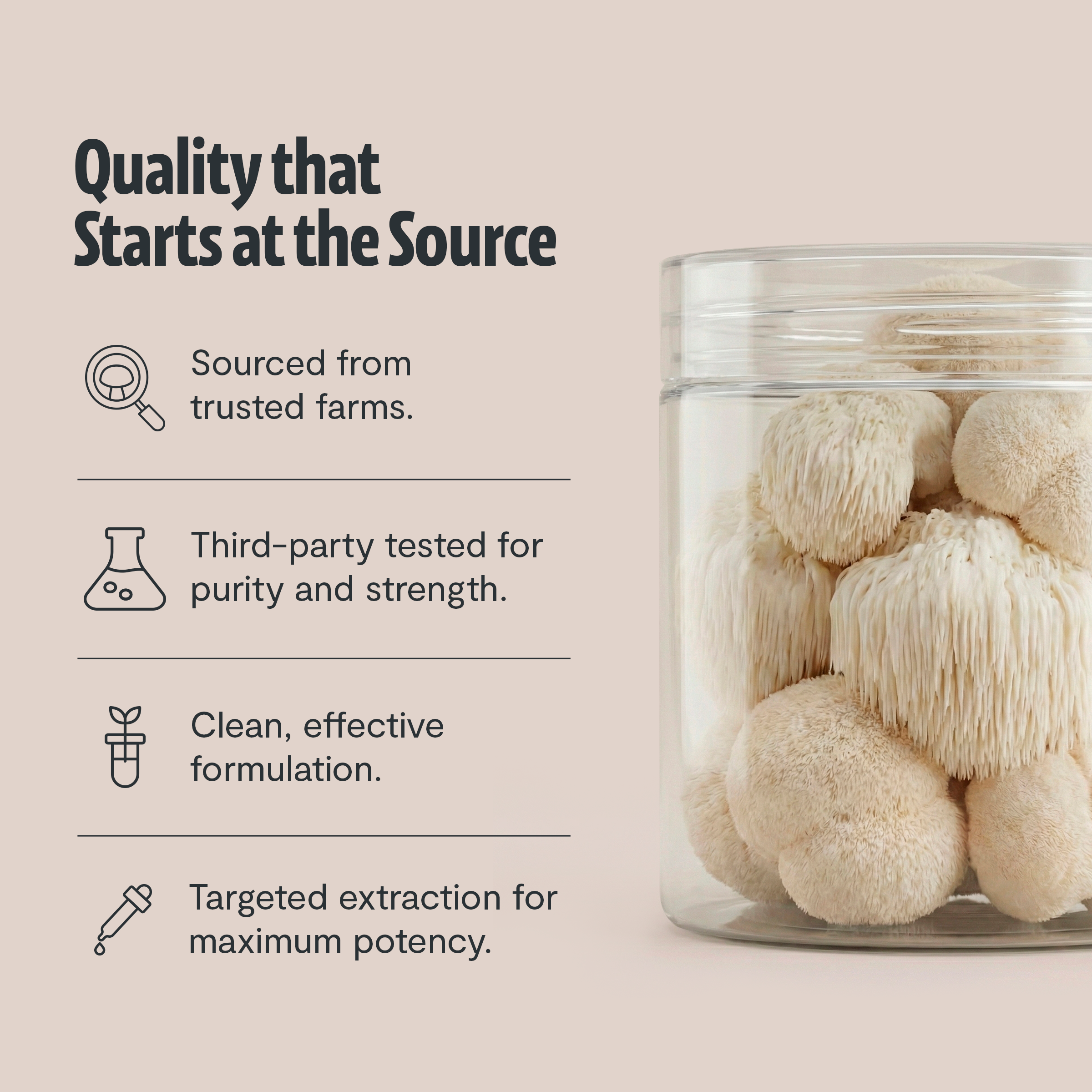 Organic Mushroom Supplement
