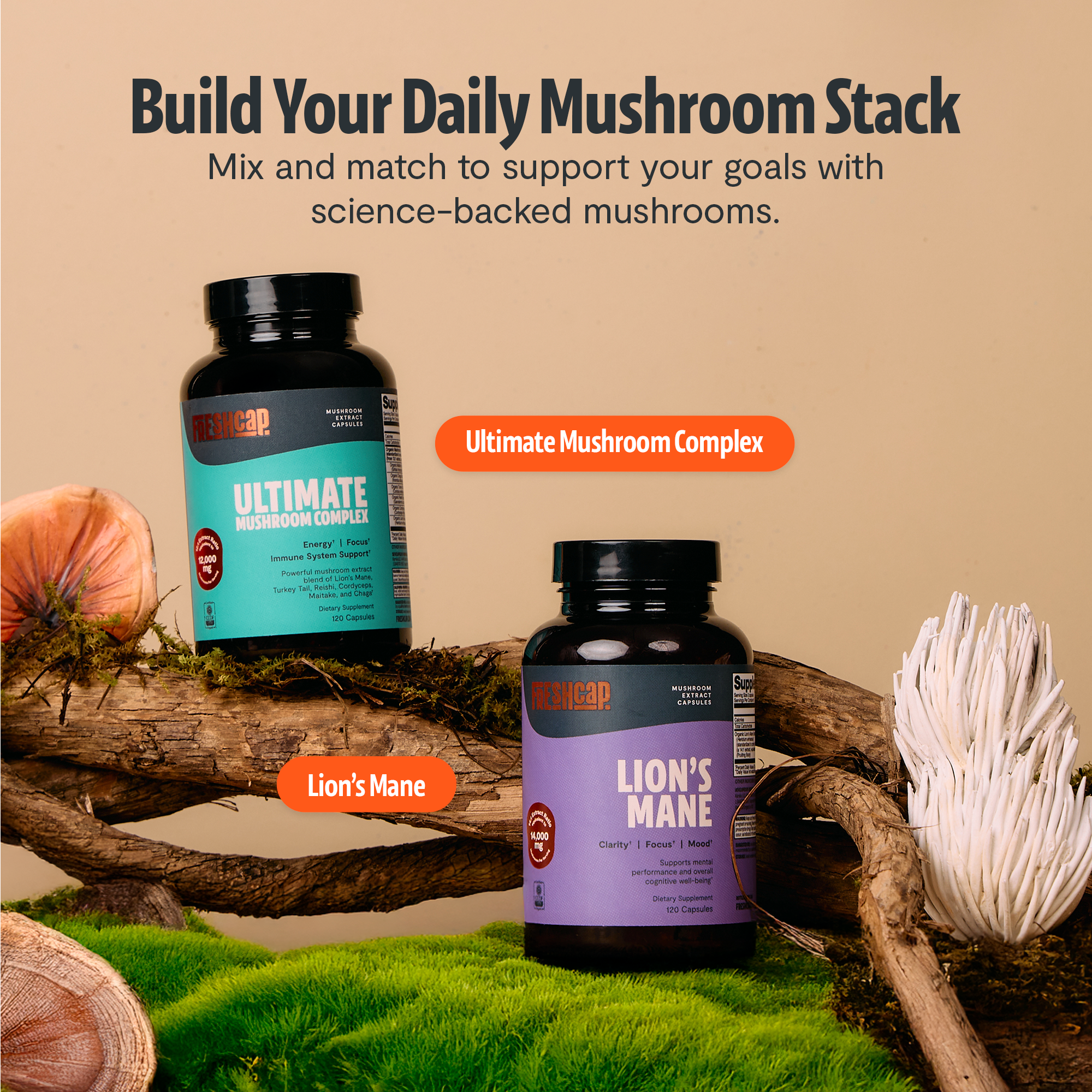 Organic Mushroom Supplement