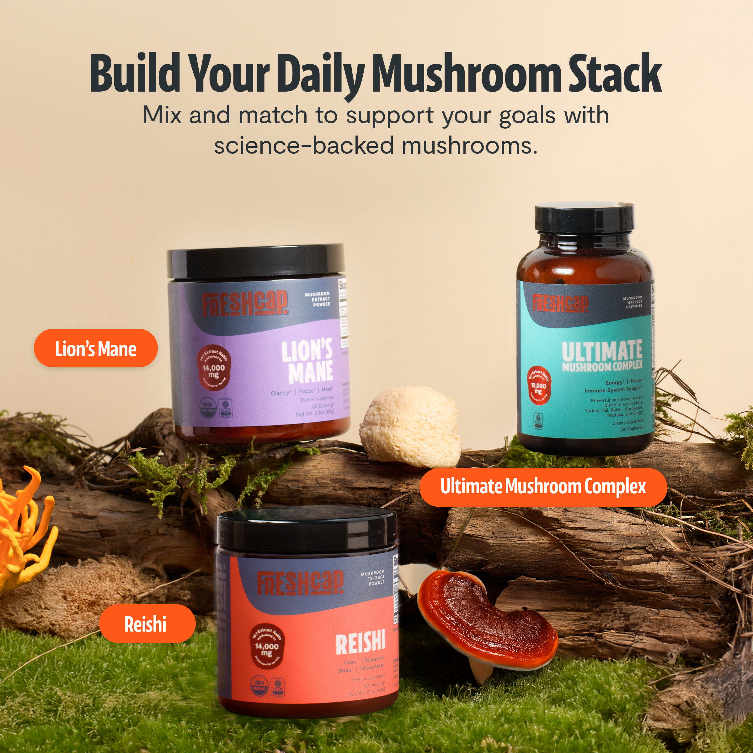 Organic Mushroom Supplement